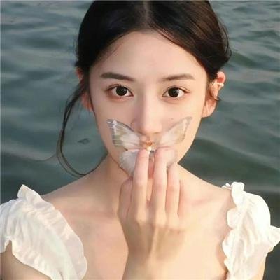 手机人生